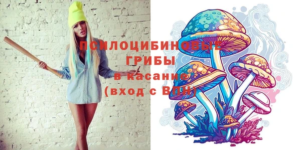 таблы Богородск