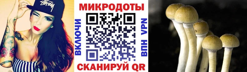 Псилоцибиновые грибы MAGIC MUSHROOMS  Купить  Красный Холм 