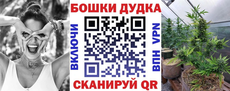 Купить закладки  Красный Холм  МАРИХУАНА планчик 